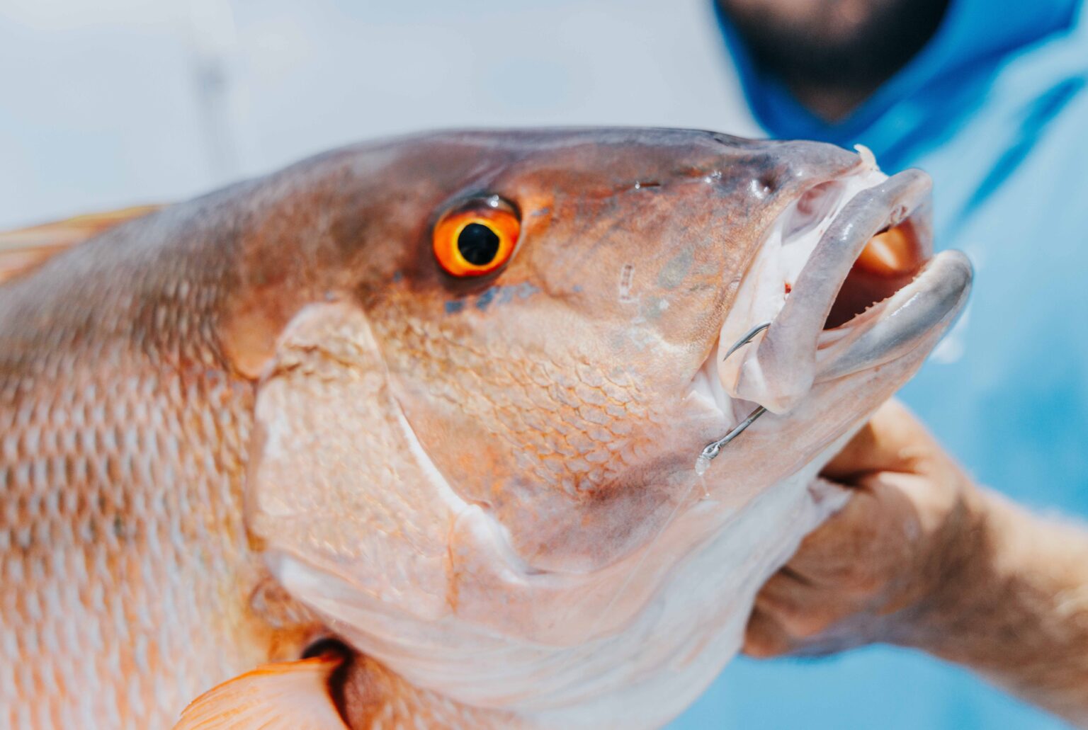 FIRST LOOK Mustad lines up ‘unmatched’ UltraNor hooks for ICAST